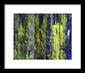 Forest For The Trees - Framed Print