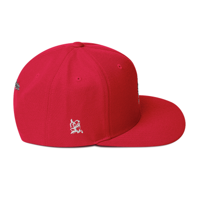 Stain and Smear Snapback Hat