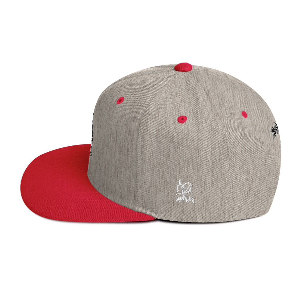 Stain and Smear Snapback Hat